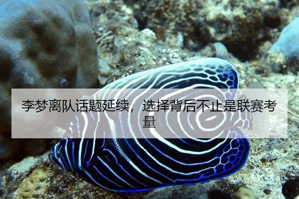 李梦离队话题延续，选择背后不止是联赛考量